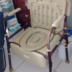 FREE FREE Portable Toilet Chair