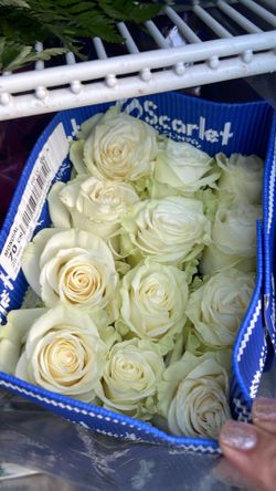 Rose packets