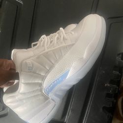 Jordan 12 Low
