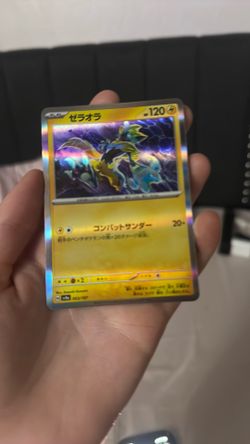 pokémon 