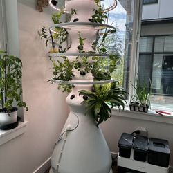 Lettuce grow indoor large with trolly