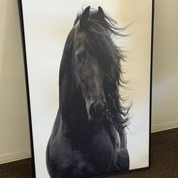 Black and white horse wall decor frame