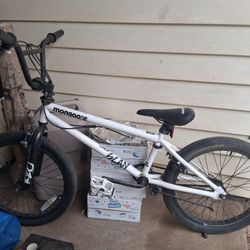 Mongoose 