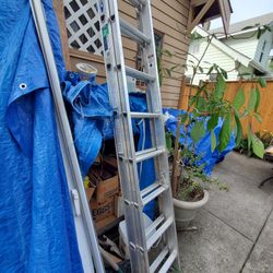 Werner Ladder