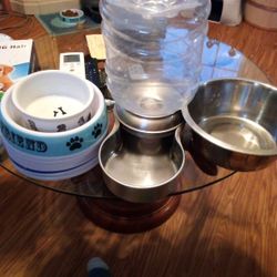 Dog Bowls