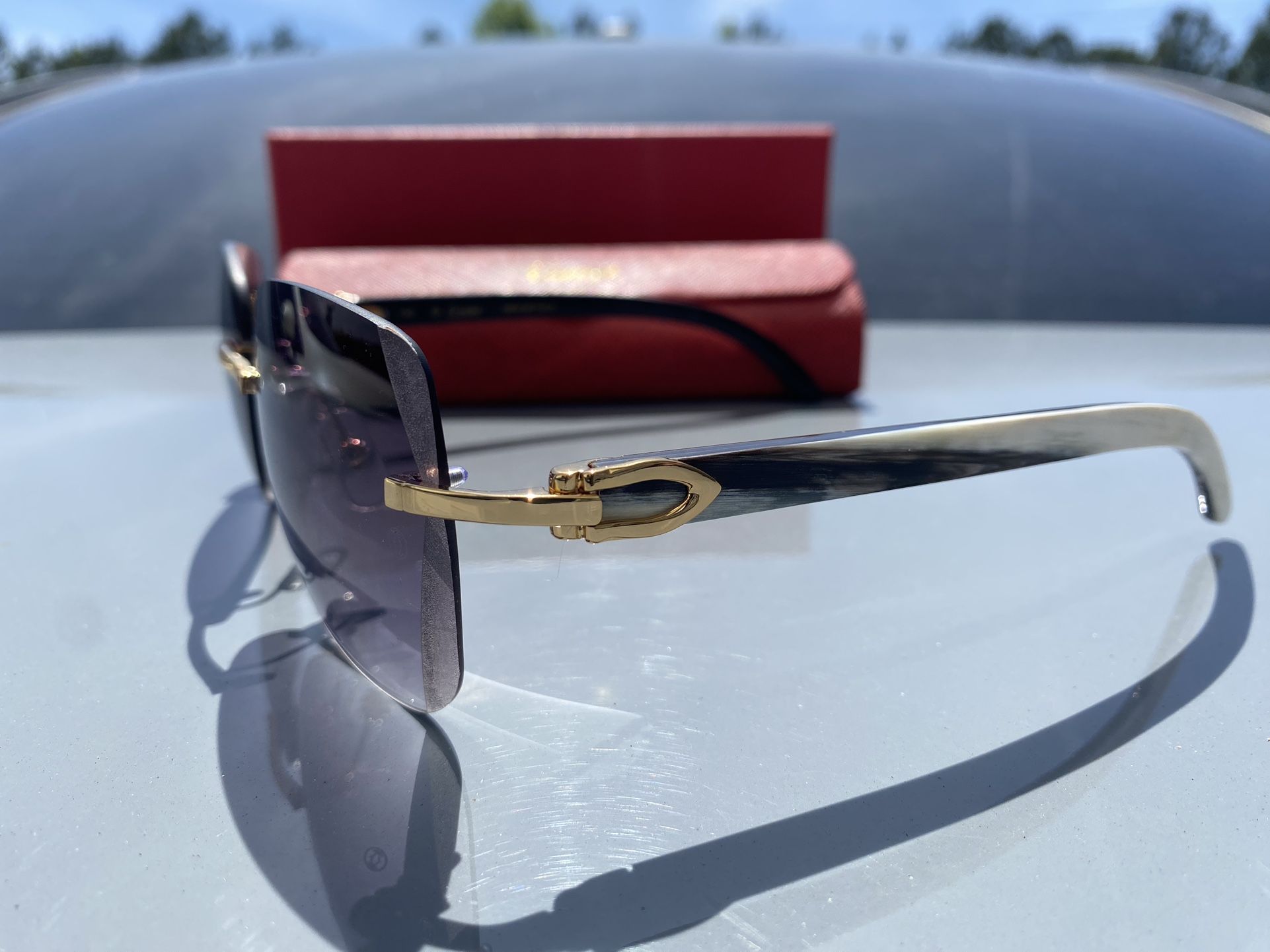 CARTIER Gold/BUFFALO HORN Sunglasses