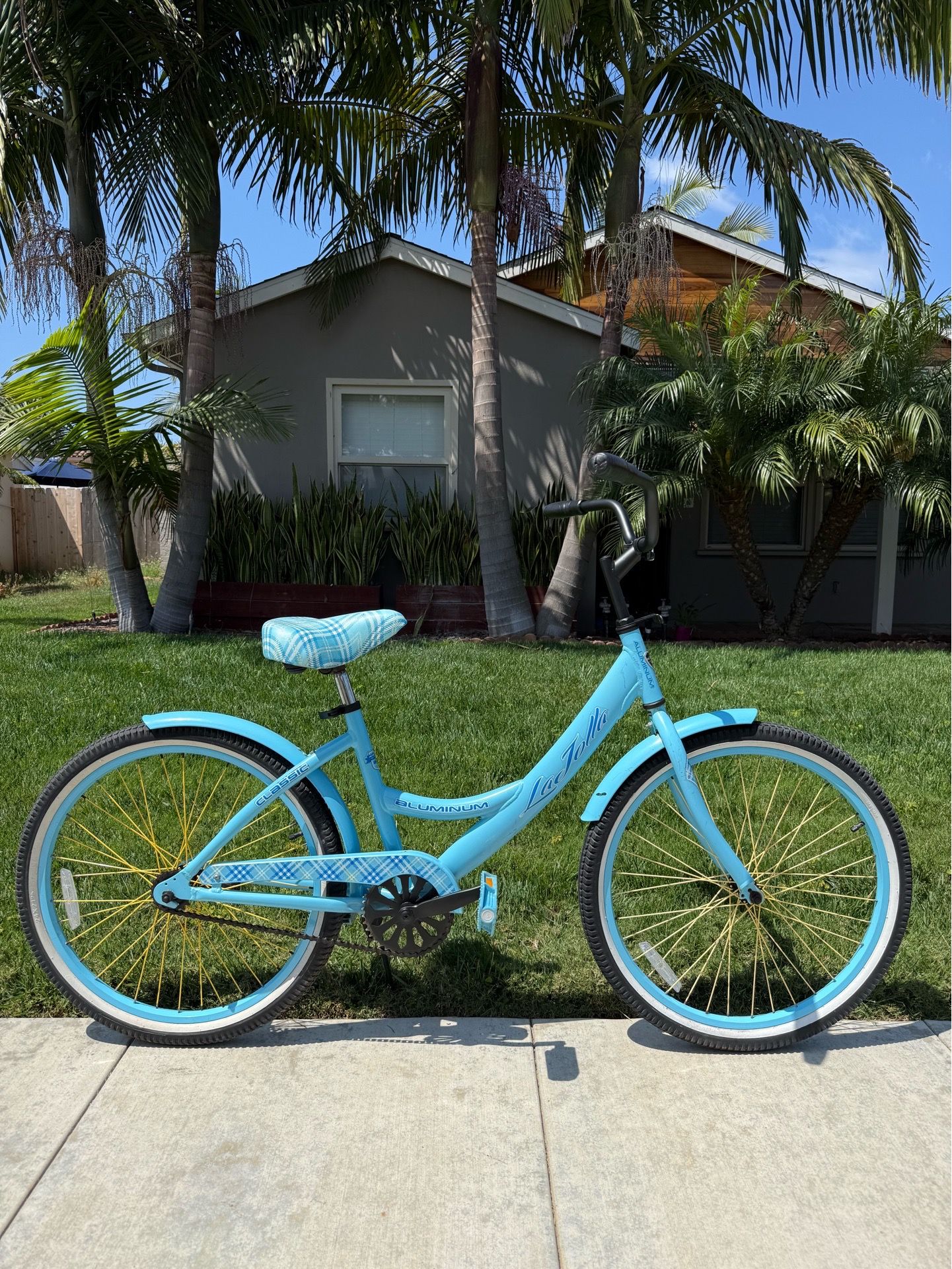 Beach Bike Cruiser