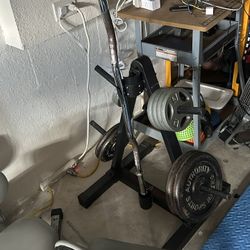 Curling Bar (1”) And 105 lbs. Of Weights With Stand