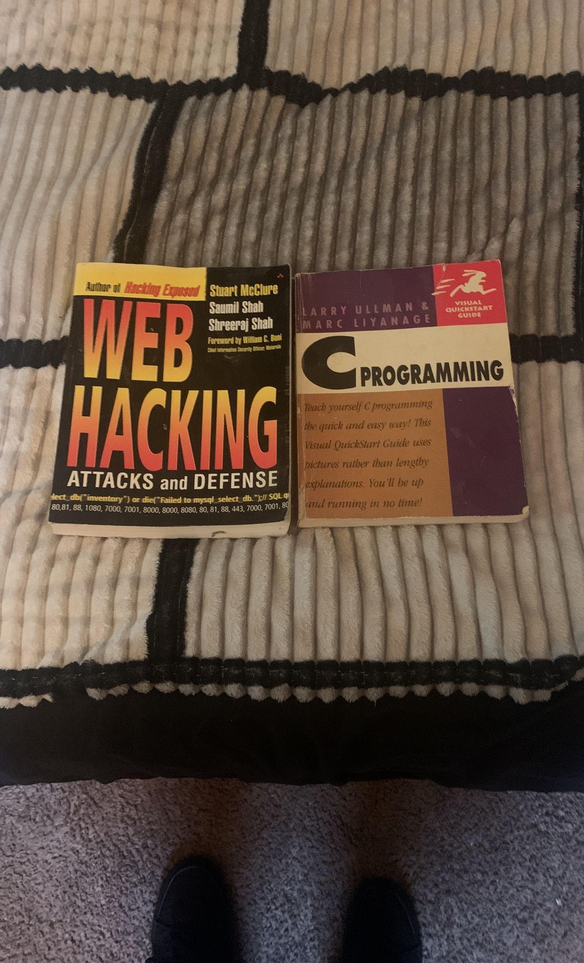2 Computer Books: C Programming And Web Hacking