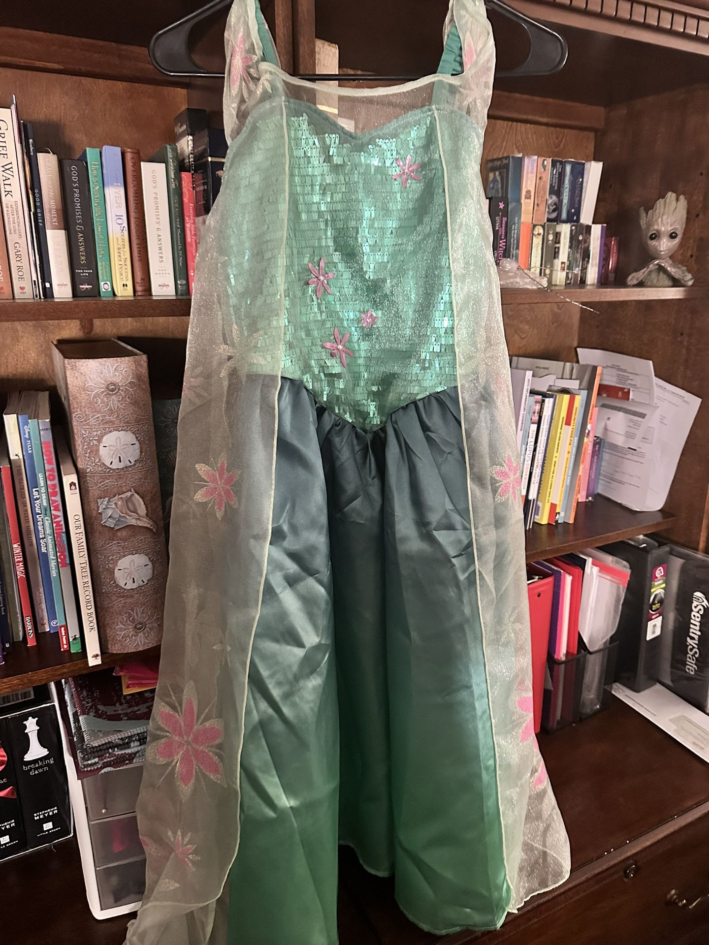 Disney Parks Elsa Costume