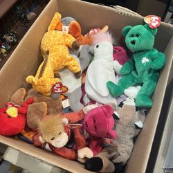 Box of 30 Beanie Babies