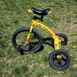 Cyco Cycle Crazy Fun Unicycle