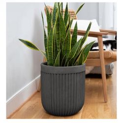 🪴 Large Modern Concrete Planter – Stylish & Durable