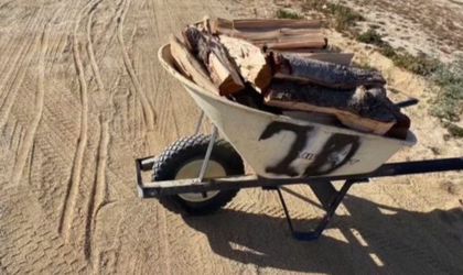 Firewood for sale🪵