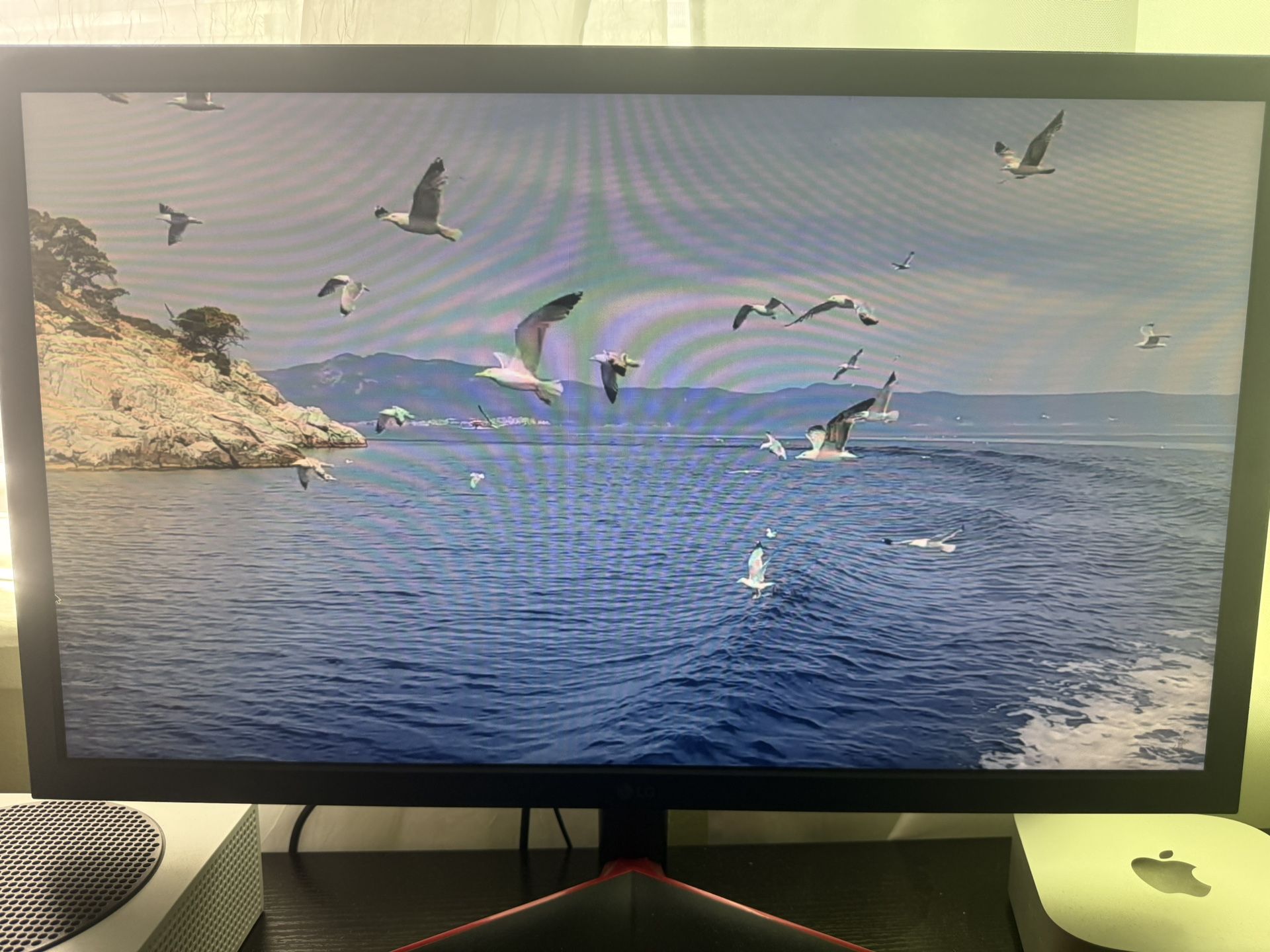LG gaming Monitor 24”