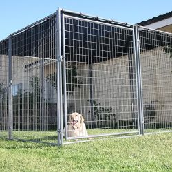 Dog kennal shade