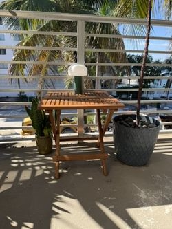 Snake Plant in Ceramic Pot