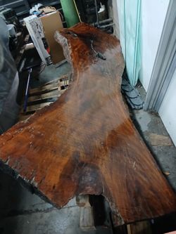 LARGE LIVE EDGE  MAHOGANY SLAB  10ft. 47in 5 in.