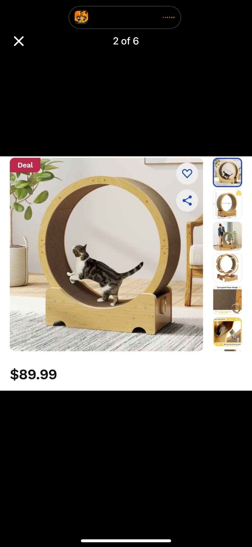 Cat Wheel