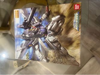 Bandai MG 1/100 Strike Gundam + I.W.S.P. model kit