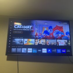 65inch Vizio Tv