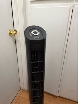 Fan $20