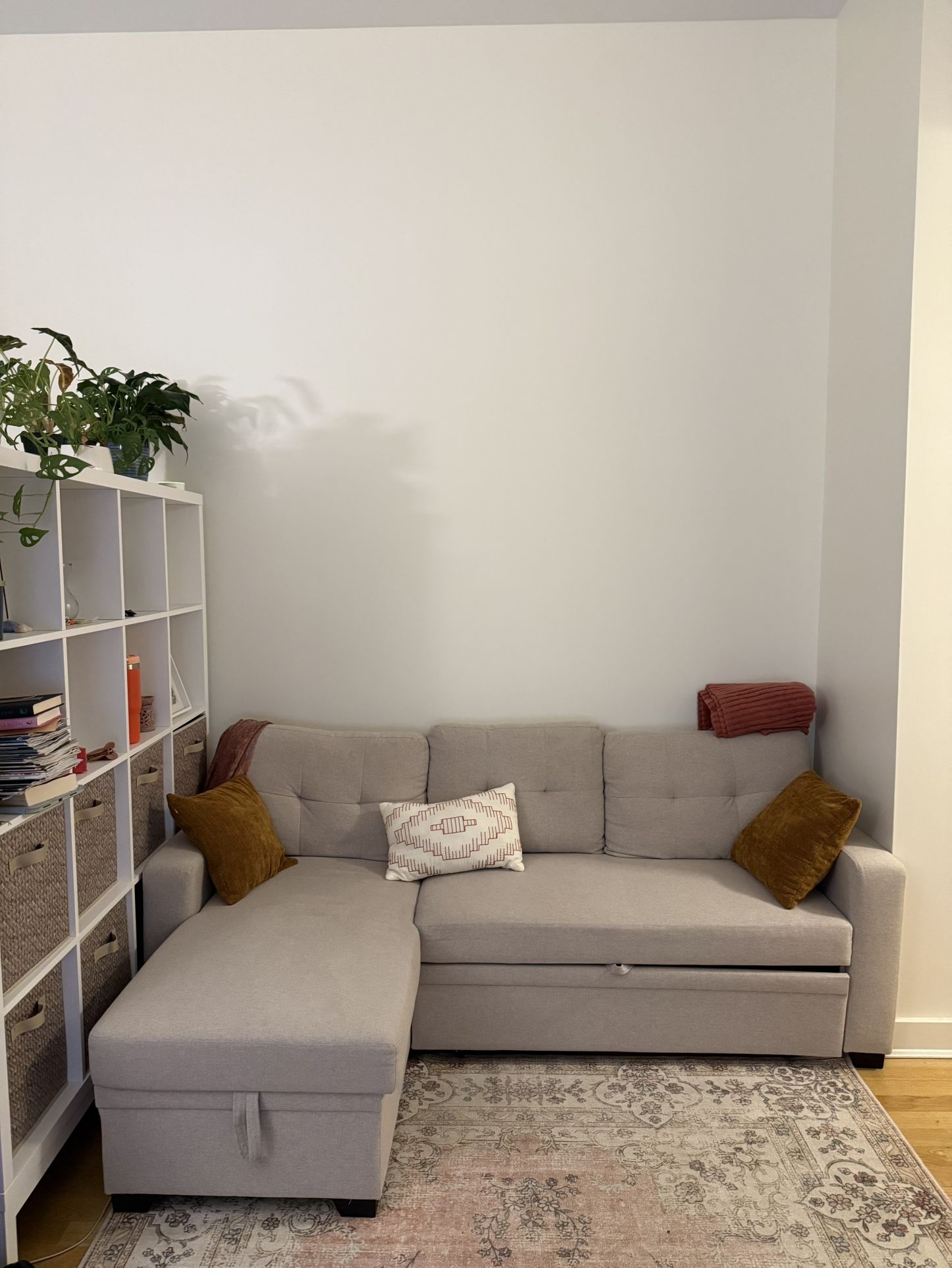 Couch With Pull Out Bed And Storage