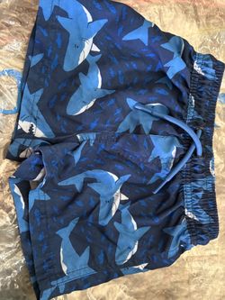 Carters boys swimming shorts 2t and 3t
