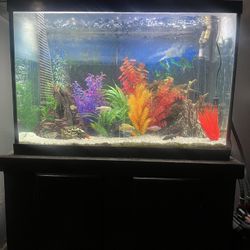 65 Gallon Fish Tank 