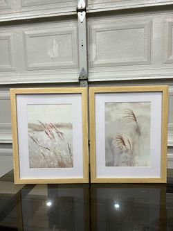 Set of 2 Framed Botanical Art Prints