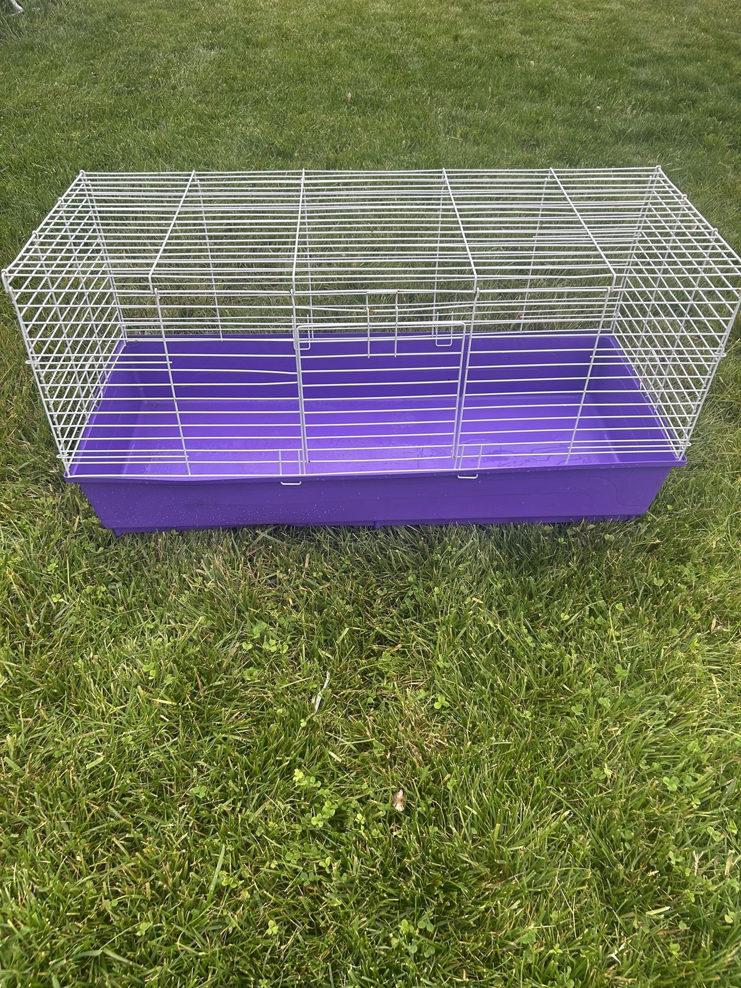 Hedgehog Cage