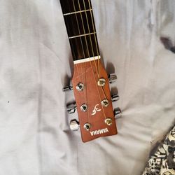 acoustic guitar