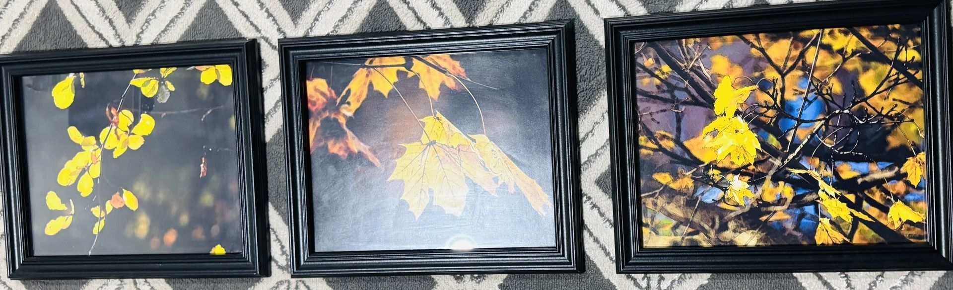 3 Photo Frame With Unique Fall Leaves Photos