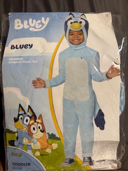 bluey kids costume