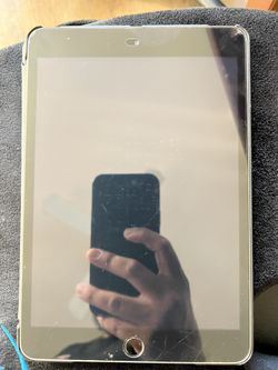 iPad mini 3