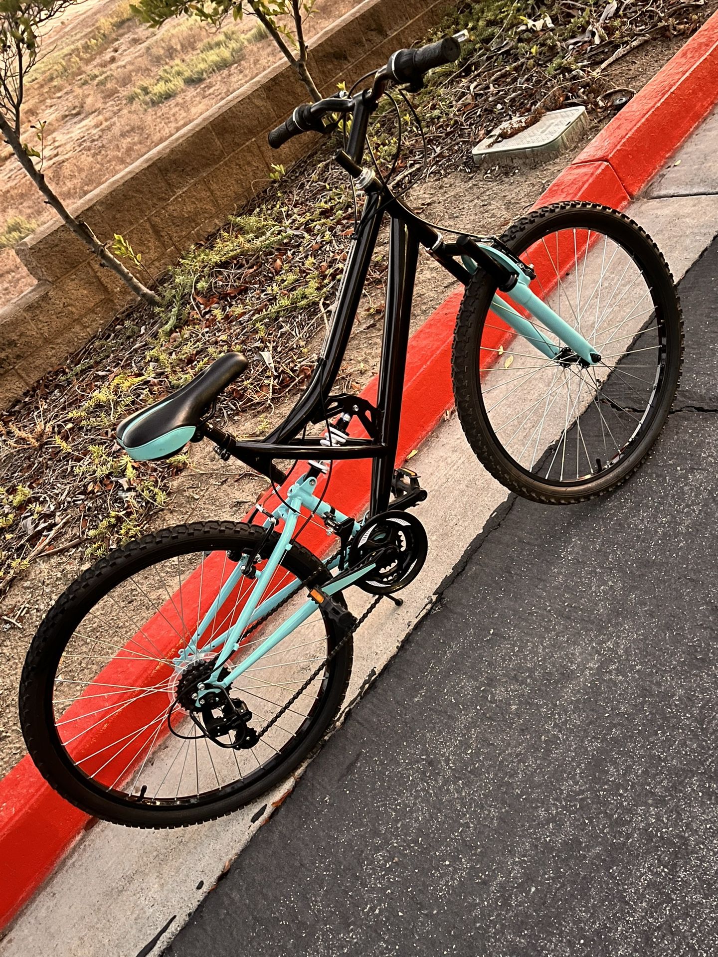 Mountain Bicycle