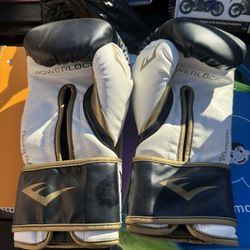 Everlast Boxing Gloves 