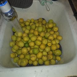 Small Lemons