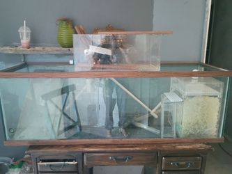 Aquarium setup