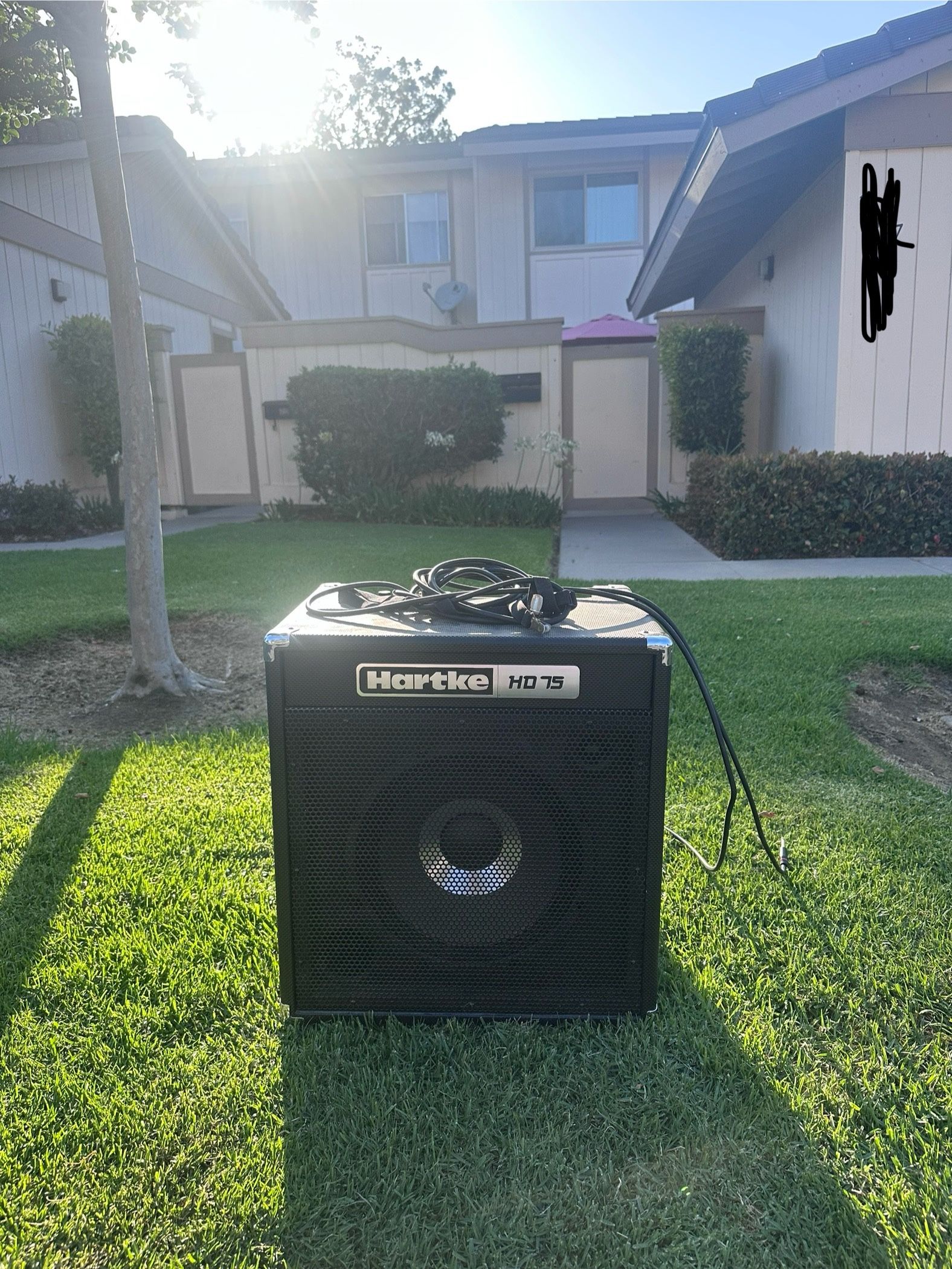 Hartke HD 75