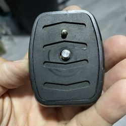 Camera head for tripods 