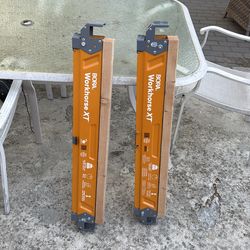 Pair of bora work horses