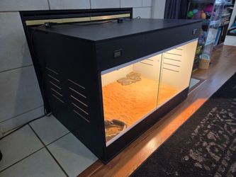 Reptile Enclosure