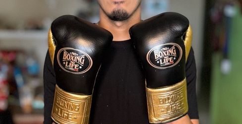 10 OZ NO BOXING NO LIFE FIGHT GLOVES