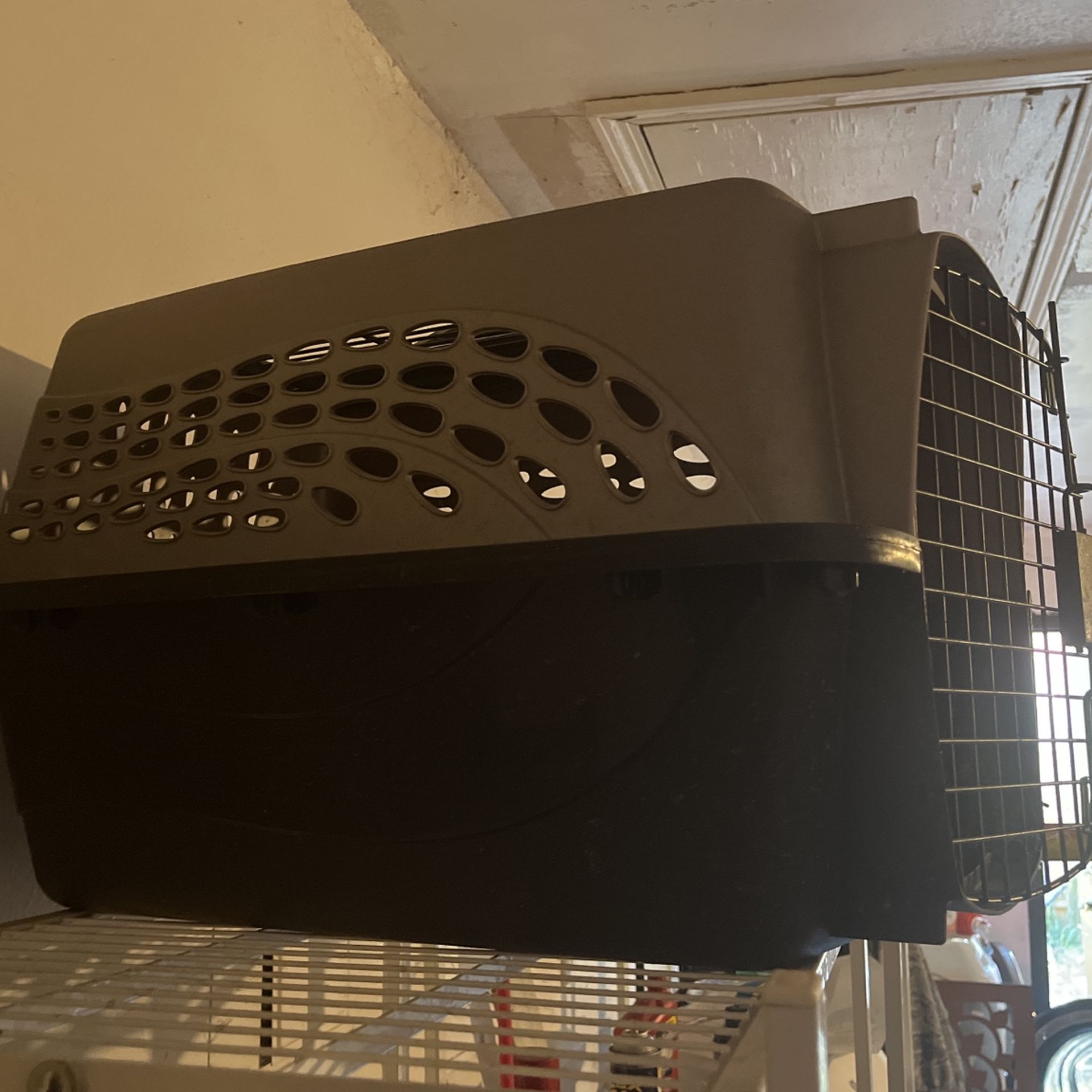 Pet Carrier