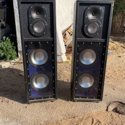 Pro Studio Speakers 