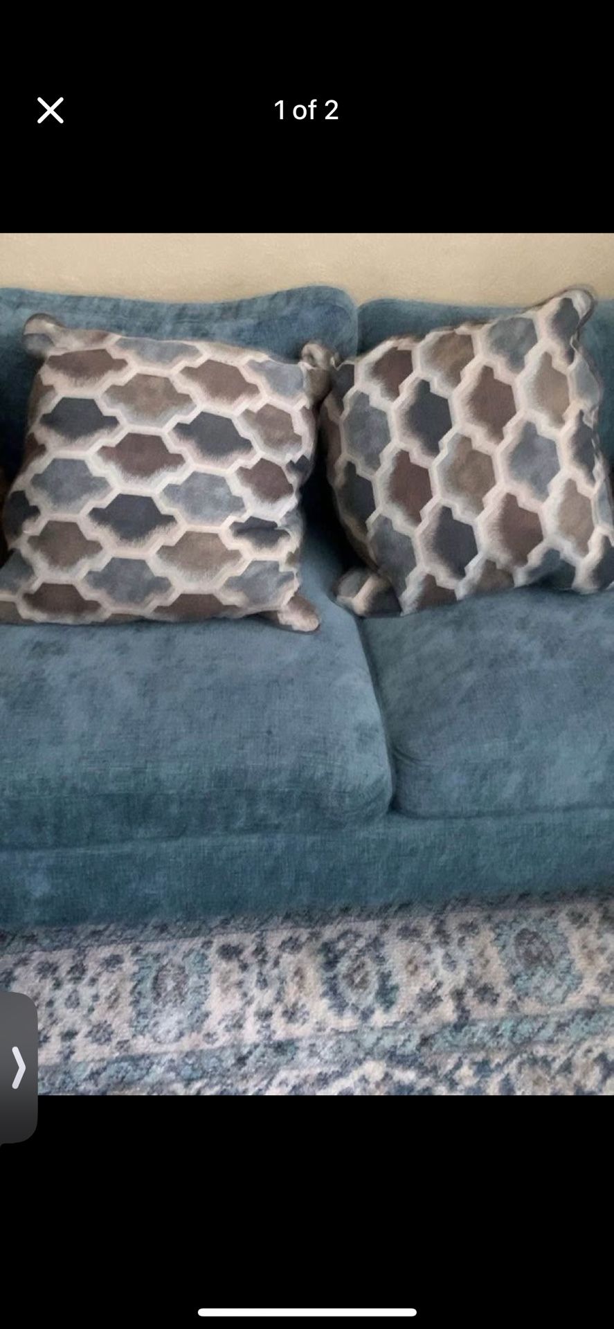 2 Throw Pillows
