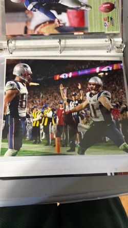 Julian Edelman celebration touchdown photo Super Bowl 49