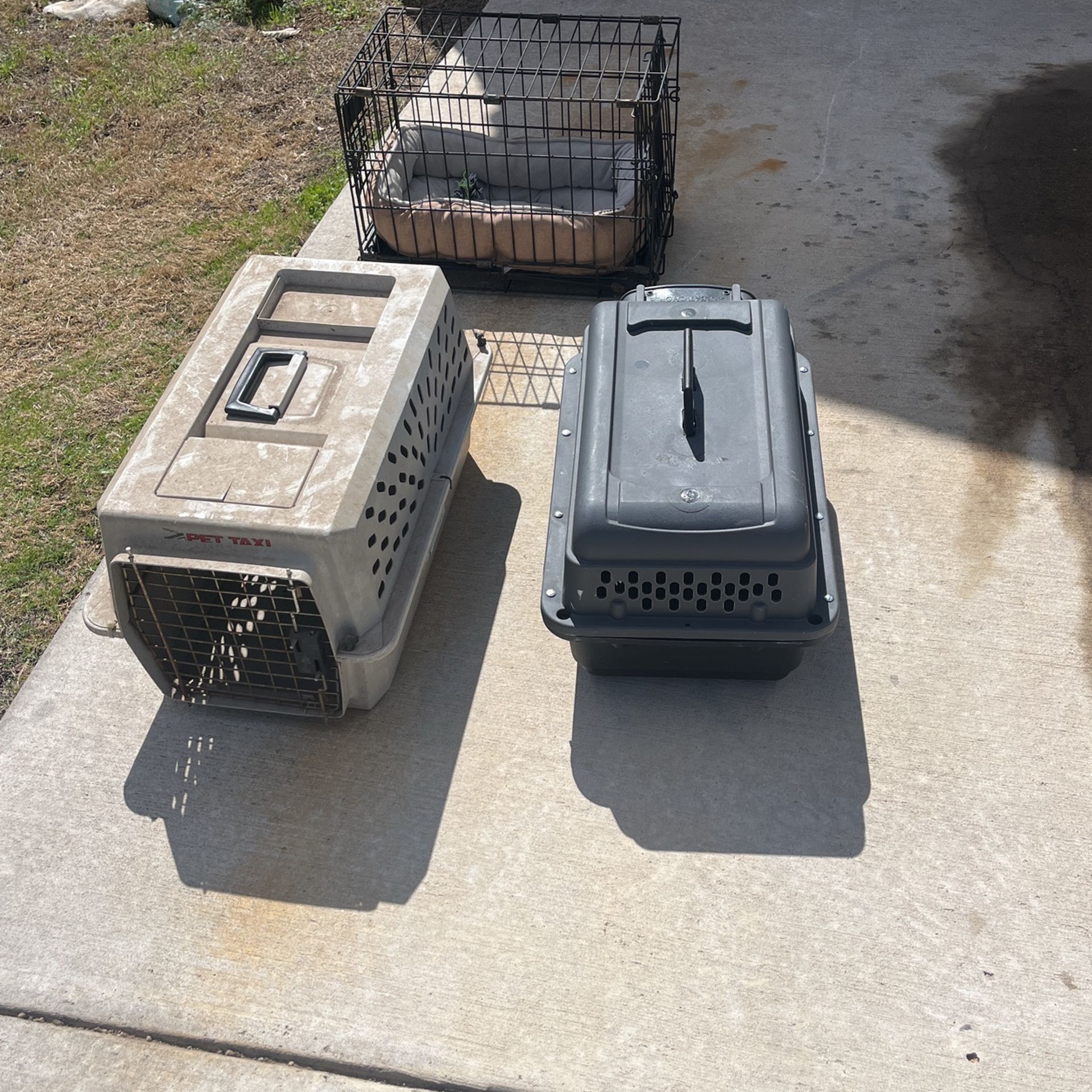 Dog Carriers