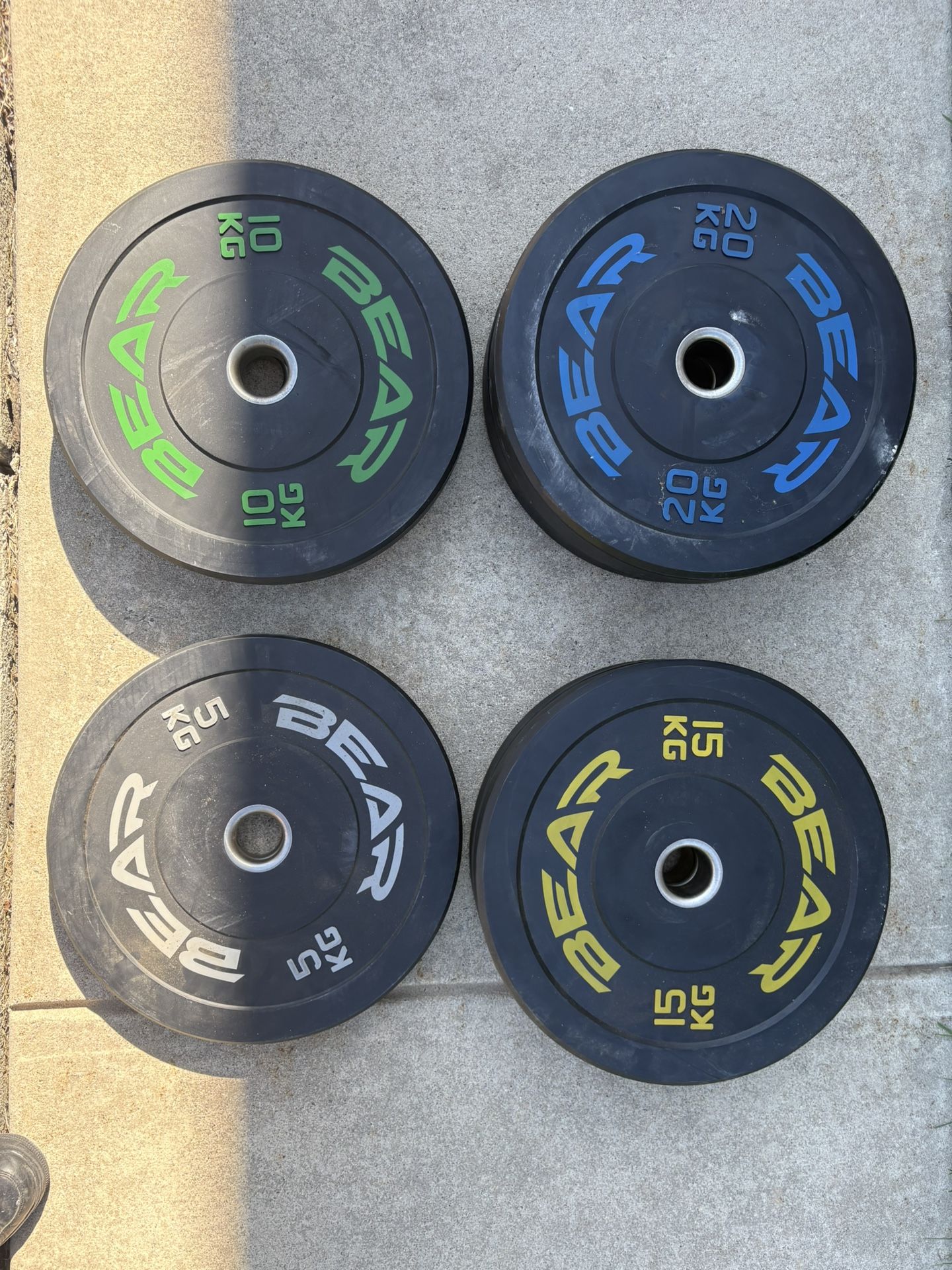 Bear Bumper Plate Set - 2 of Each Size (176 lbs Total)